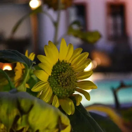 Anthonas Aparthotel Imerovigli (Santorini)